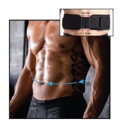 Diamatek Weightlifting Belt -Fitness Equipment Store DiamatekWeightliftingBelt SizeGuideVisual dd2bfa4b 4f68 4402 9843 5a12f0b44e8d