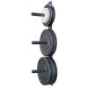 Wall Mounted Bumper Plate Storage Tree -Fitness Equipment Store image d7b49101 809b 40a3 bdae b77641e4ea52
